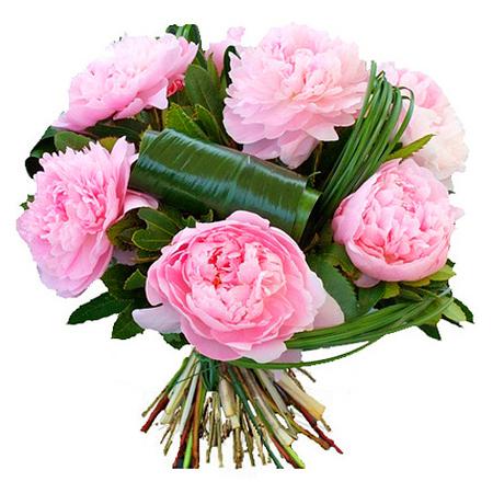 Букет из 9 розовых пионов "Немного счастья"