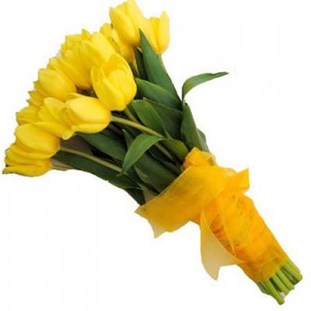 Букет из 25 желтых тюльпанов «Биатрис»